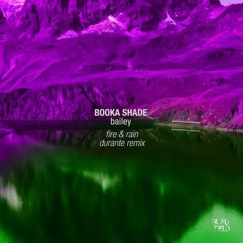 Booka Shade, Bailey - Fire & Rain (Durante Remix Edit)