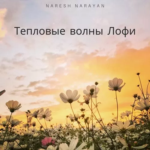 Naresh Narayan - Тепловые волны Лофи